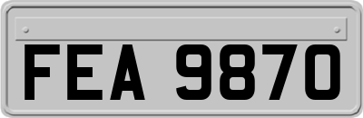 FEA9870