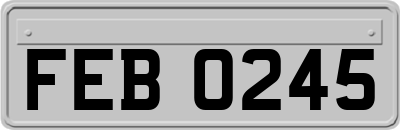 FEB0245