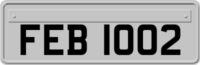 FEB1002