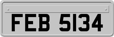 FEB5134