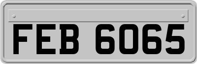 FEB6065
