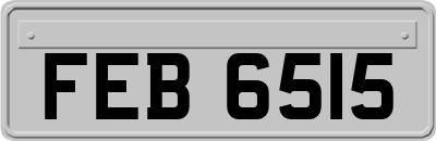 FEB6515
