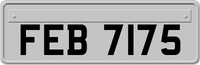 FEB7175