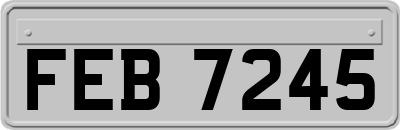 FEB7245