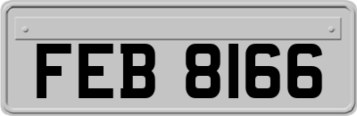 FEB8166