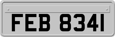 FEB8341