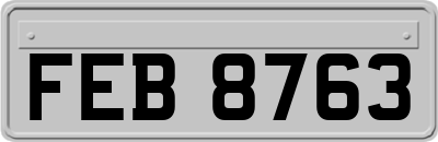 FEB8763