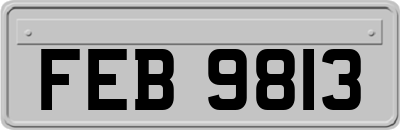 FEB9813