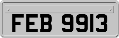 FEB9913