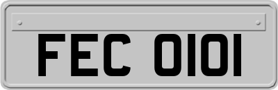 FEC0101