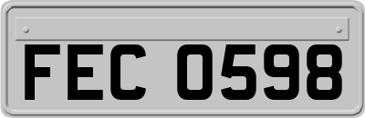 FEC0598
