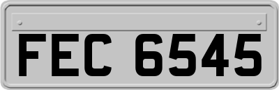 FEC6545