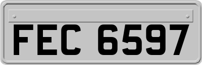 FEC6597