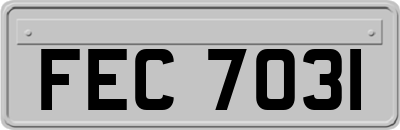 FEC7031