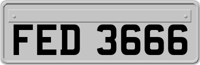 FED3666