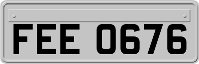 FEE0676