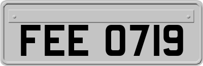 FEE0719
