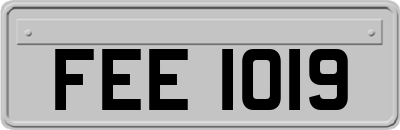 FEE1019