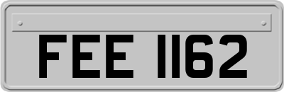 FEE1162