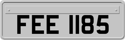 FEE1185