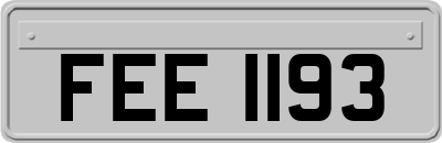 FEE1193