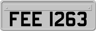 FEE1263