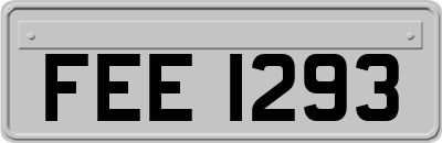 FEE1293