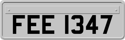 FEE1347