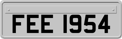 FEE1954