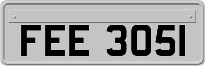 FEE3051