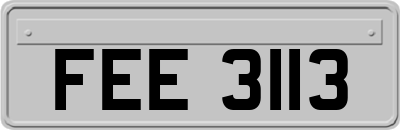 FEE3113