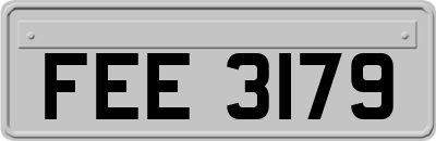 FEE3179