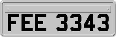 FEE3343