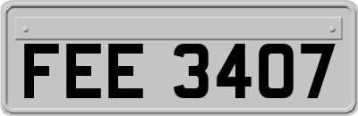 FEE3407