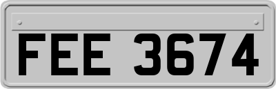 FEE3674