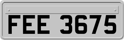 FEE3675