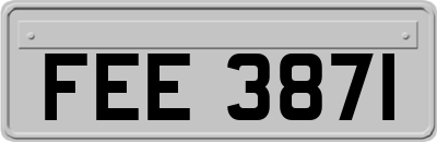 FEE3871