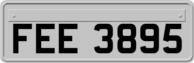 FEE3895