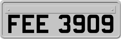 FEE3909