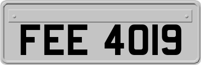 FEE4019