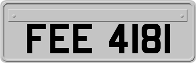 FEE4181