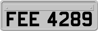 FEE4289