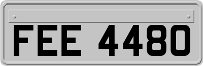 FEE4480
