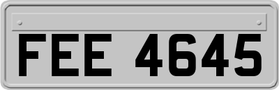 FEE4645