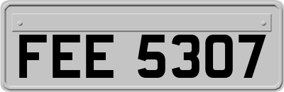 FEE5307