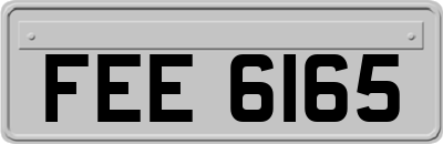 FEE6165