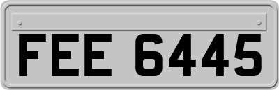 FEE6445