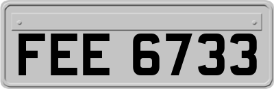FEE6733