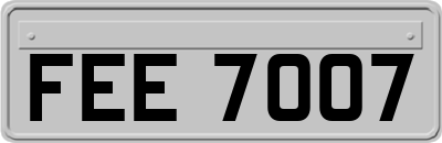 FEE7007