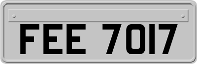 FEE7017